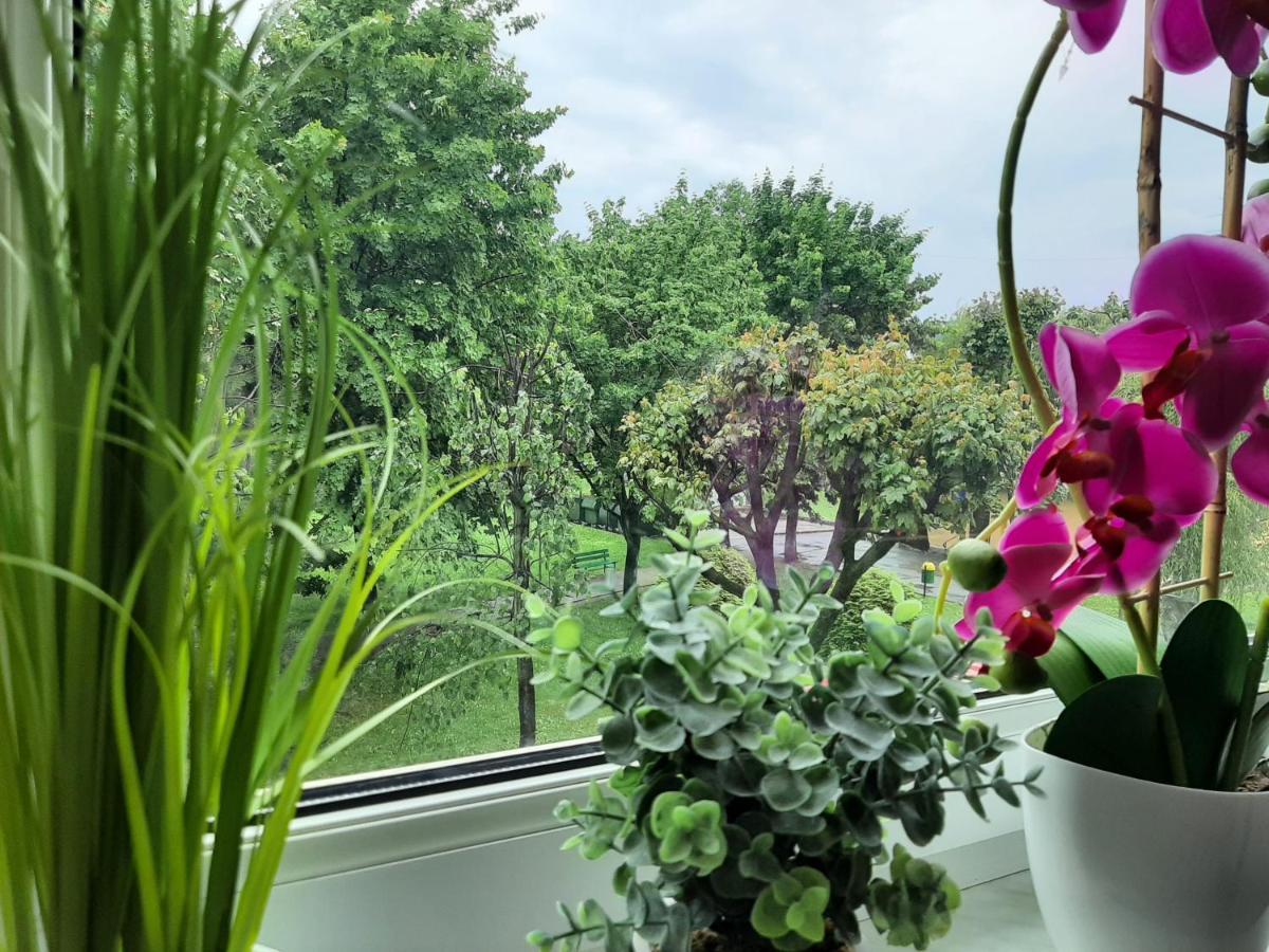 波兰尼卡-兹德鲁伊Apartament W Polanicy公寓 外观 照片